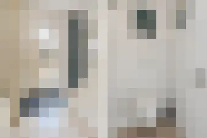 Wede 7 Geldrop thumbnail 7