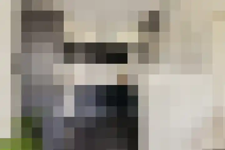 Wedekuil 51 Huizen thumbnail 8