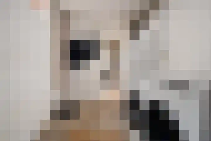 Weden 16 Emmen thumbnail 18