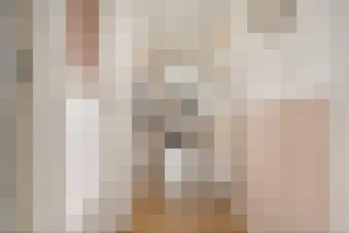 Weden 16 Emmen thumbnail 20
