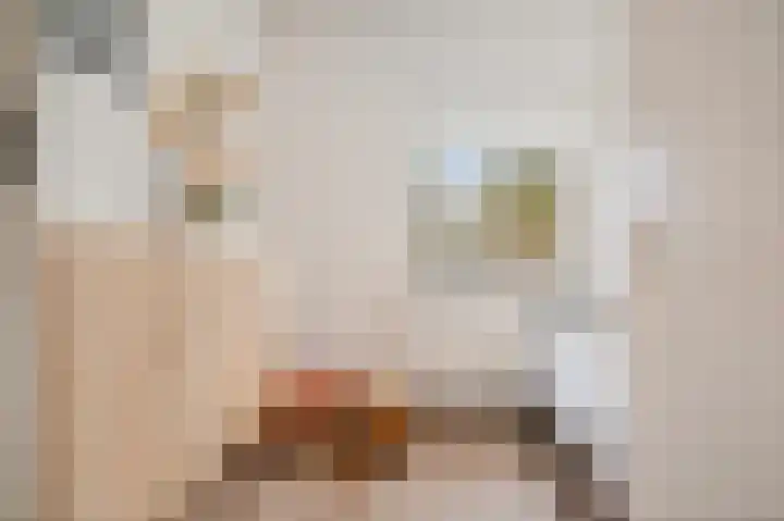 Weden 16 Emmen thumbnail 24