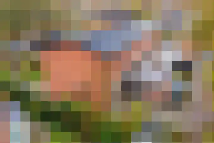 Weden 16 Emmen thumbnail 36