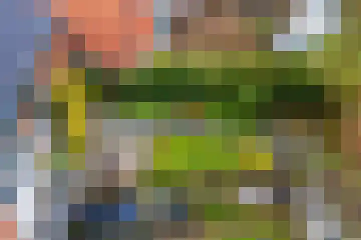 Weden 16 Emmen thumbnail 37