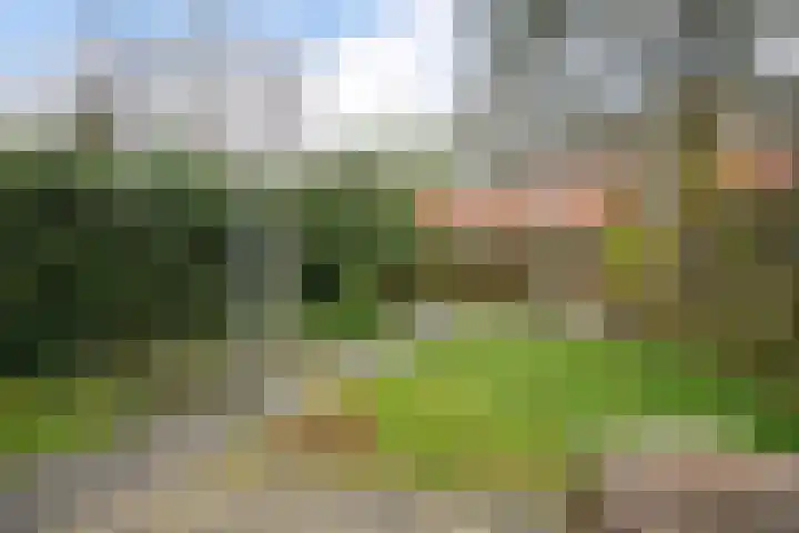 Weden 16 Emmen thumbnail 38