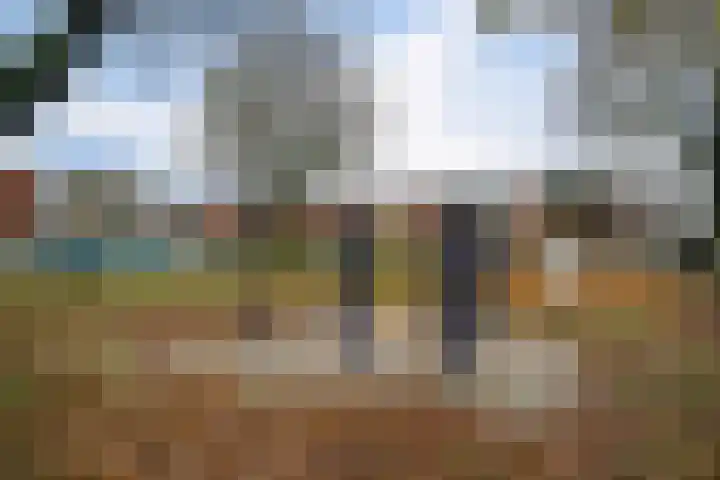 Weden 16 Emmen thumbnail 39