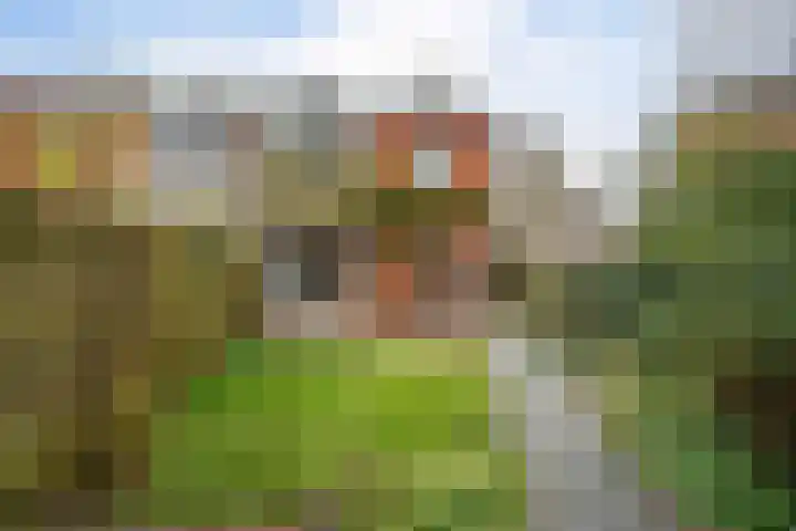 Weden 16 Emmen thumbnail 4