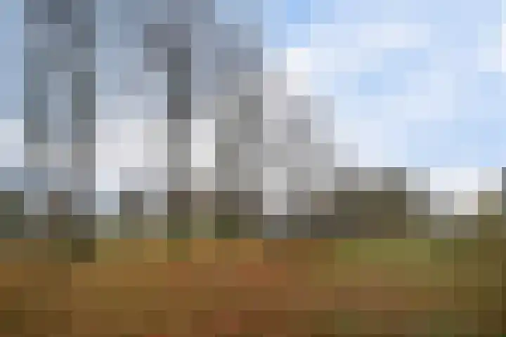 Weden 16 Emmen thumbnail 40