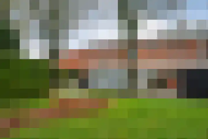Weden 16 Emmen thumbnail 41