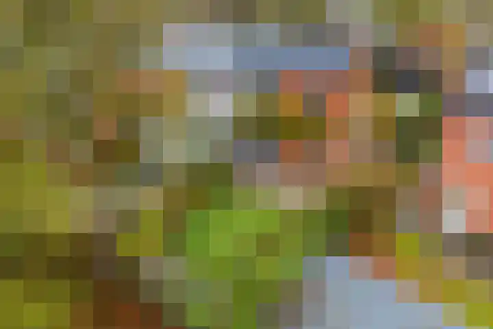 Weden 16 Emmen thumbnail 45