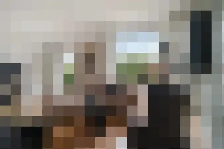 Weden 16 Emmen thumbnail 6