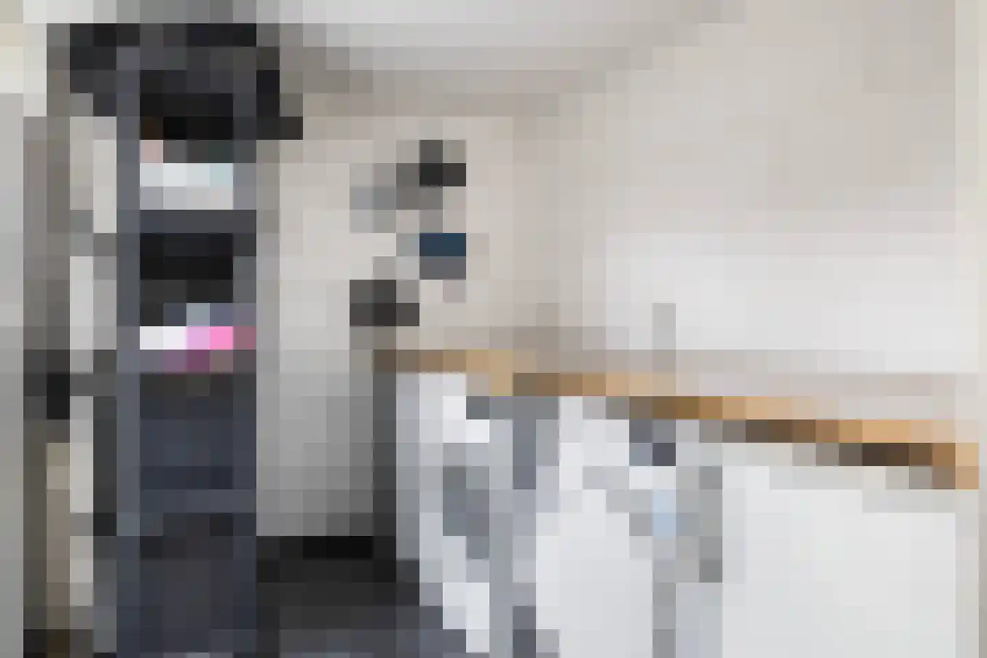 Weden 36 Emmen thumbnail 17