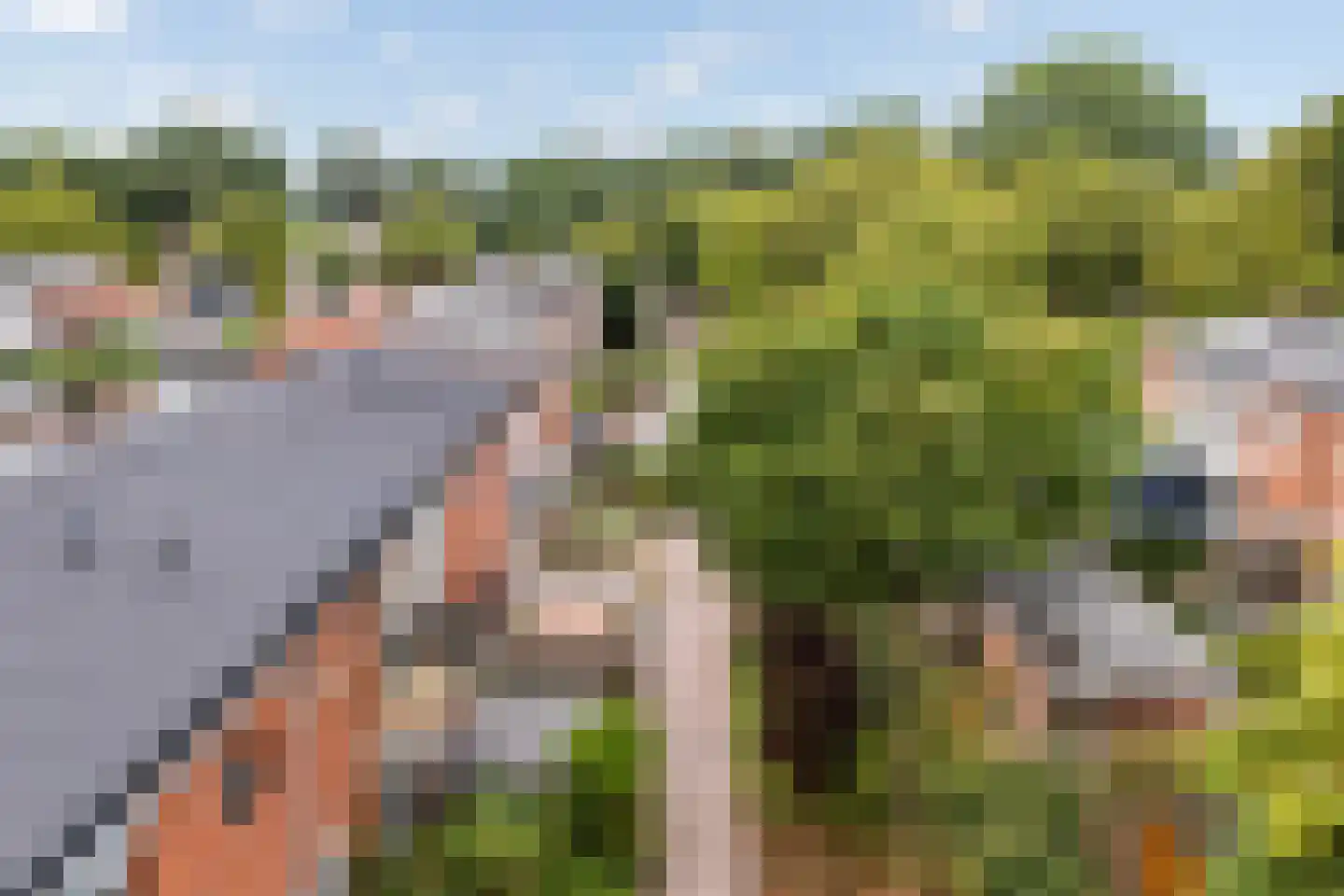 Weden 36 Emmen thumbnail 32