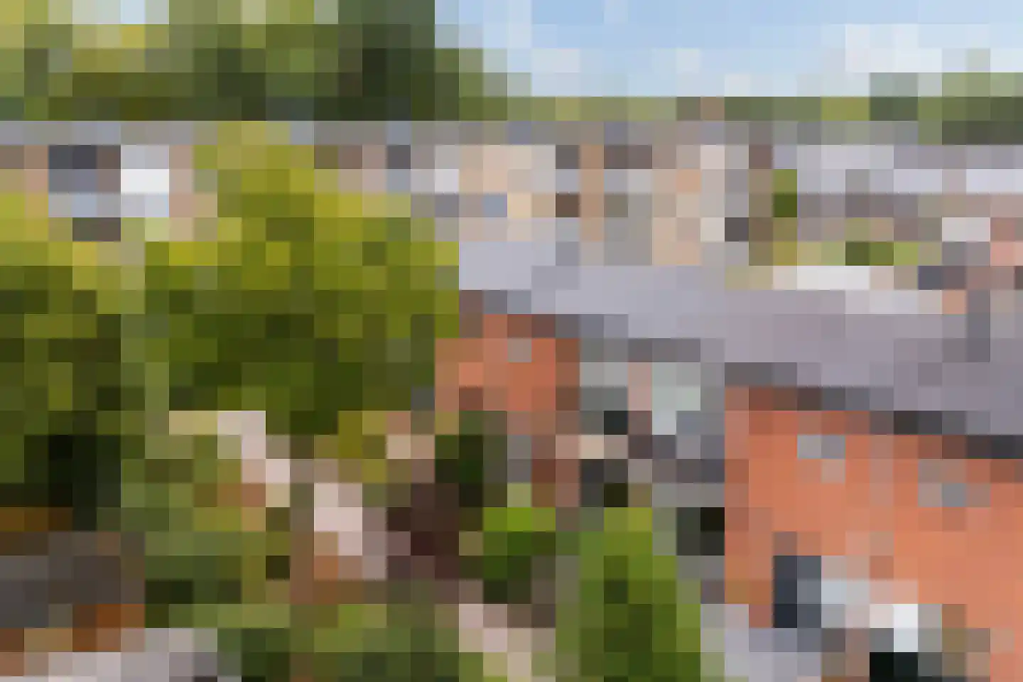Weden 36 Emmen thumbnail 33