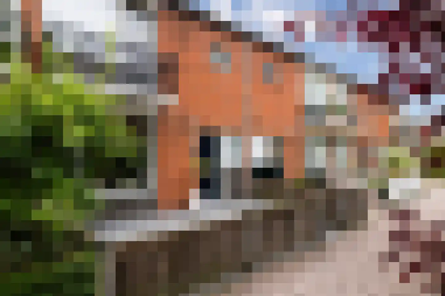 Weden 36 Emmen thumbnail 35