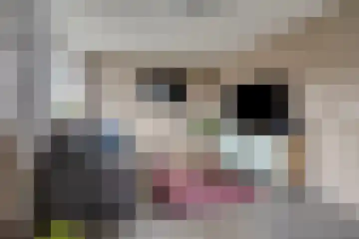 Weden 48 Emmen thumbnail 10