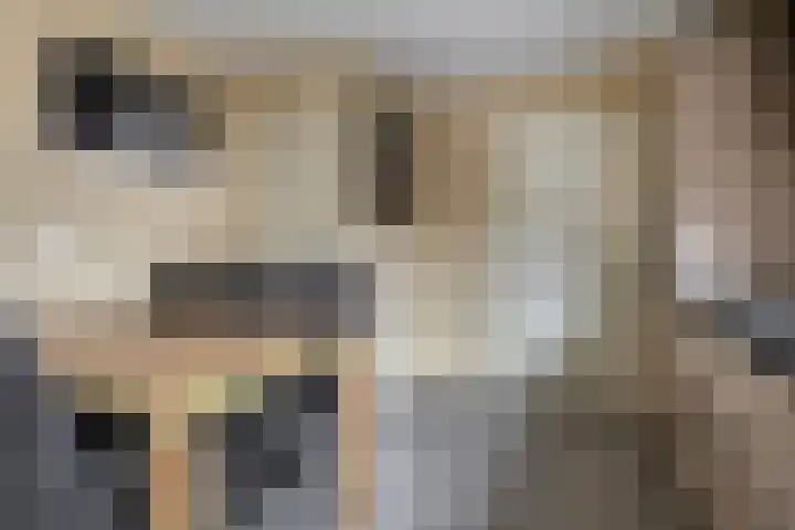 Weden 48 Emmen thumbnail 14
