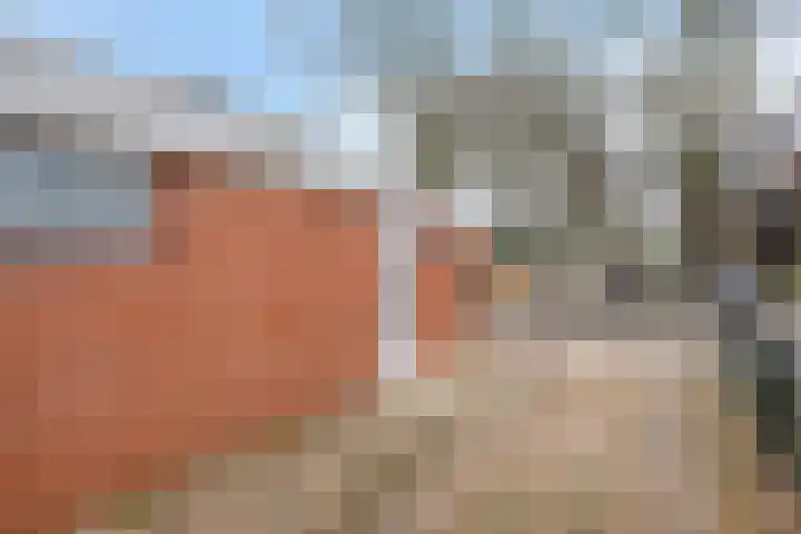 Weden 48 Emmen thumbnail 5