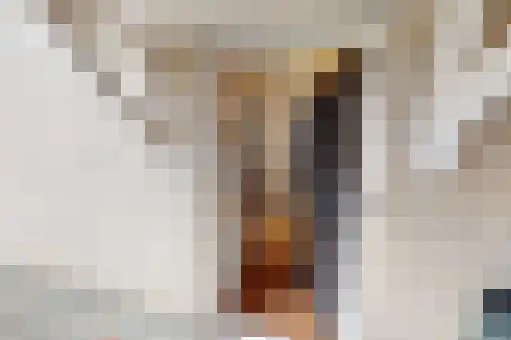 Weder 18 Midwoud thumbnail 11