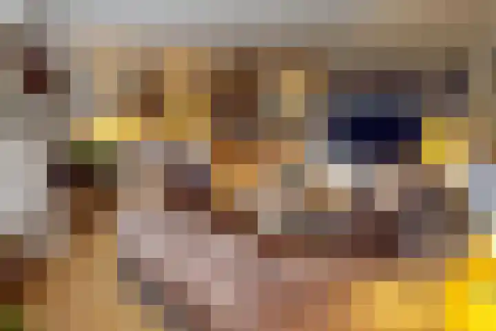 Weder 18 Midwoud thumbnail 20