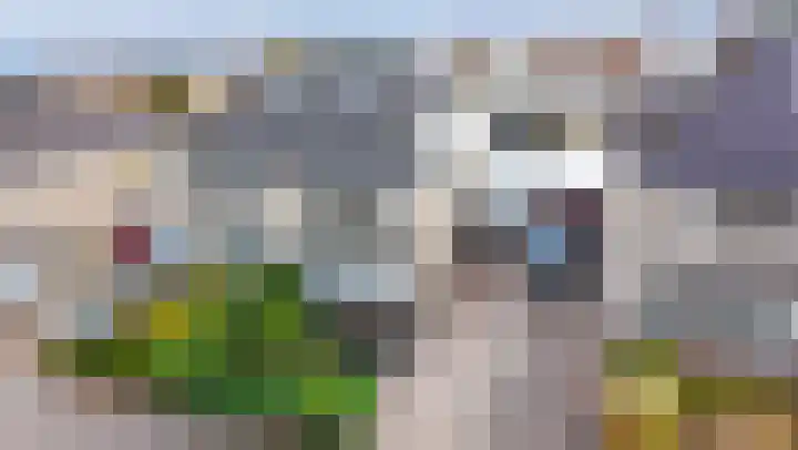 Weder 18 Midwoud thumbnail 4