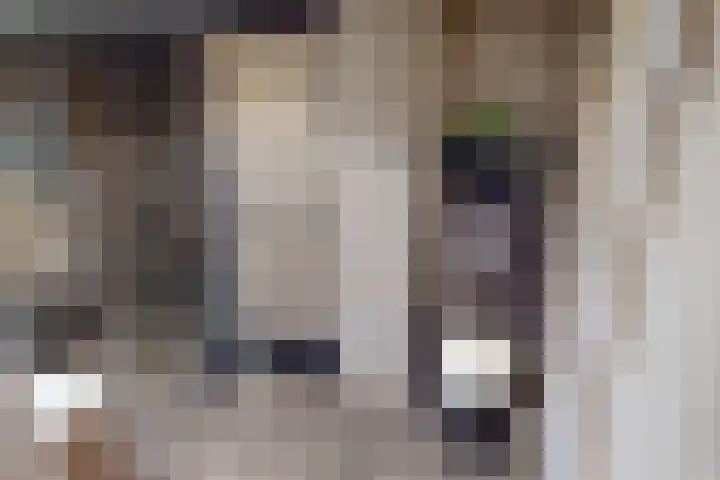 Weder 18 Midwoud thumbnail 50