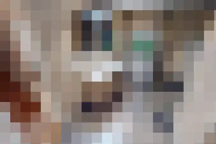 Weder 18 Midwoud thumbnail 51