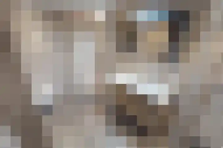 Weder 18 Midwoud thumbnail 53