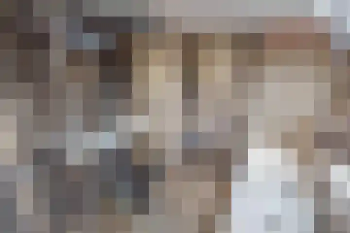 Weder 18 Midwoud thumbnail 54