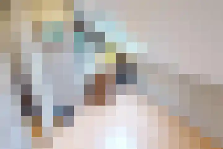 Weder 18 Midwoud thumbnail 59