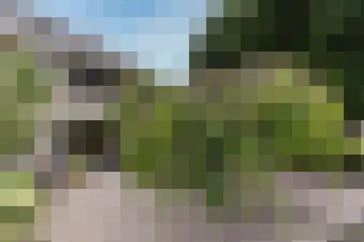 Weder 2 Midwoud thumbnail 10