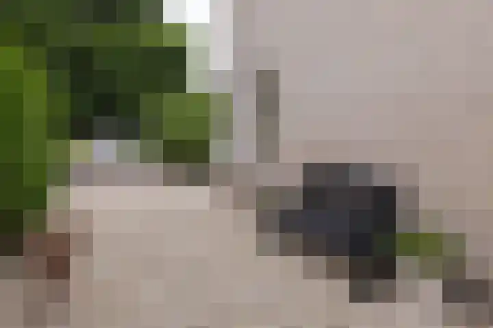 Weder 2 Midwoud thumbnail 11