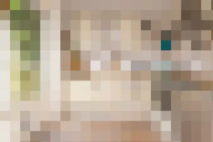 Weder 2 Midwoud thumbnail 19