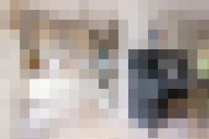 Weder 2 Midwoud thumbnail 20
