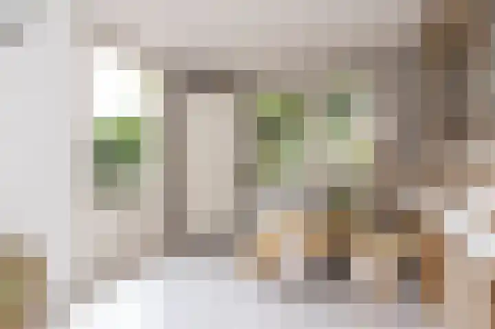 Weder 2 Midwoud thumbnail 22