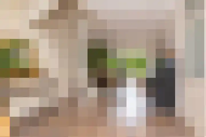 Weder 2 Midwoud thumbnail 23