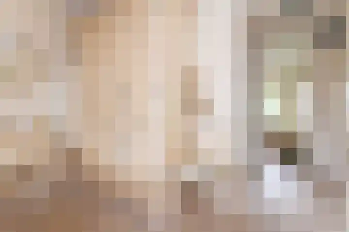 Weder 2 Midwoud thumbnail 26