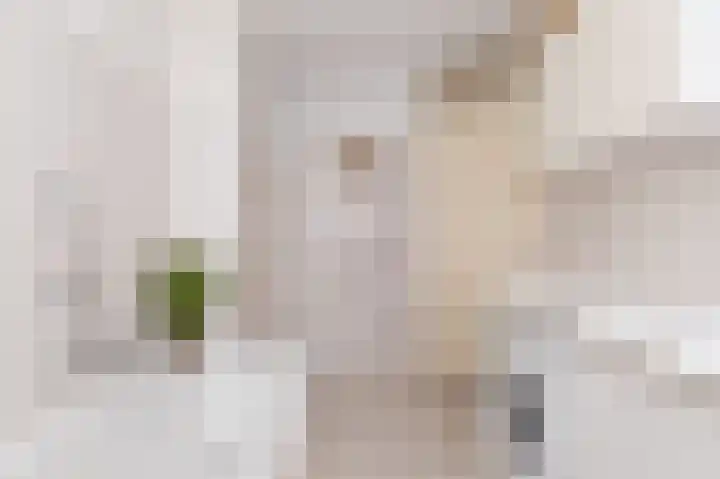 Weder 2 Midwoud thumbnail 32
