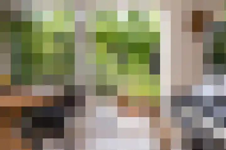 Weder 2 Midwoud thumbnail 38