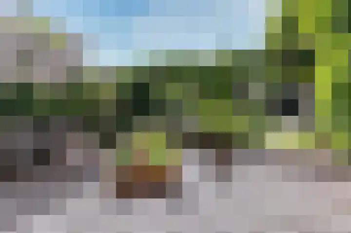 Weder 2 Midwoud thumbnail 39