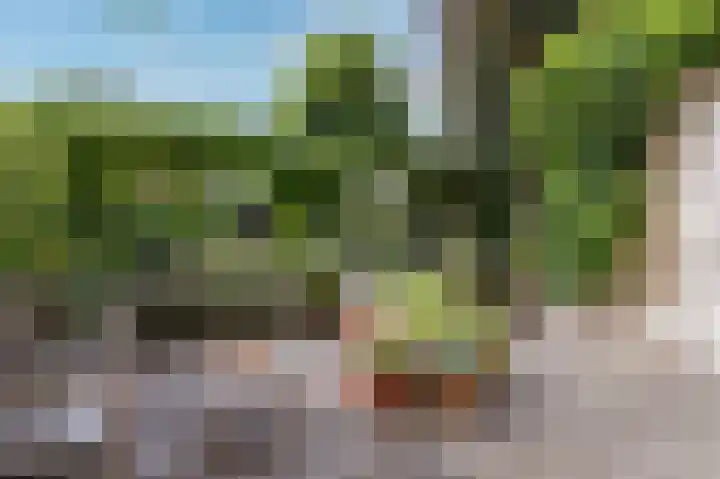 Weder 2 Midwoud thumbnail 40