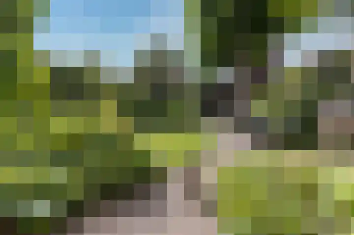 Weder 2 Midwoud thumbnail 41