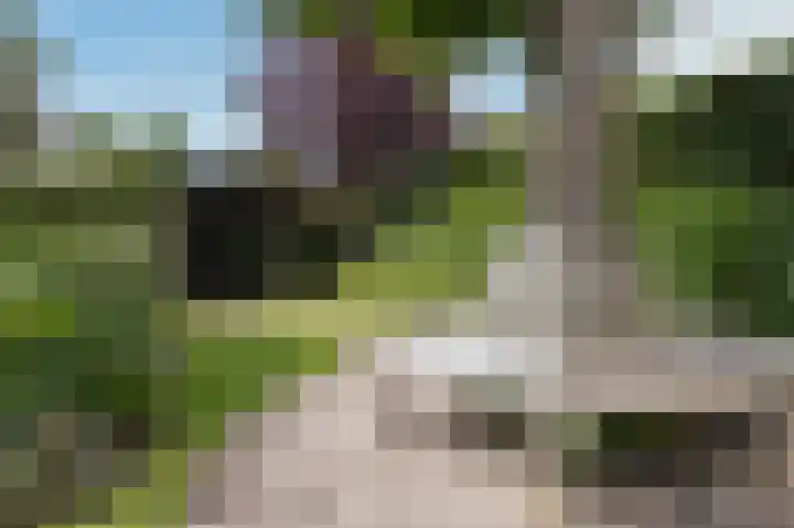 Weder 2 Midwoud thumbnail 42