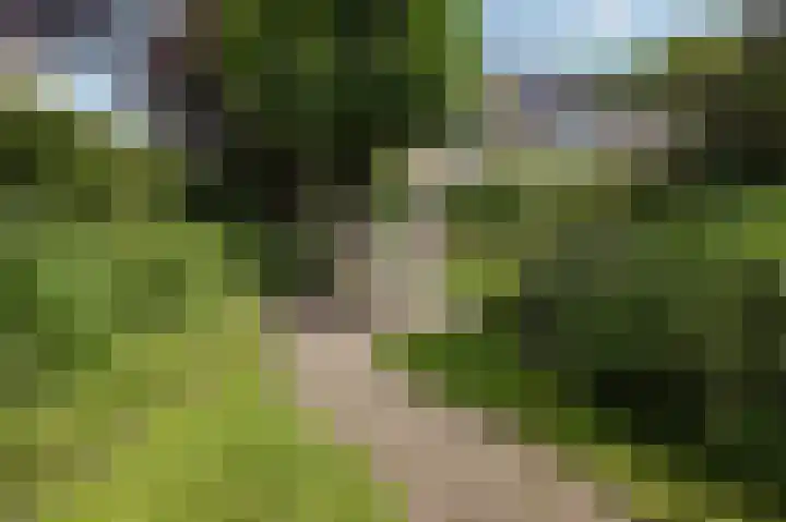 Weder 2 Midwoud thumbnail 43
