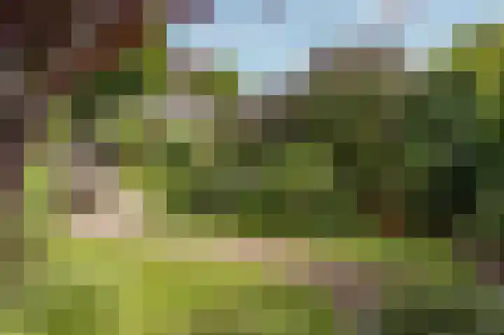 Weder 2 Midwoud thumbnail 44