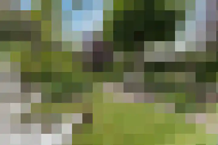 Weder 2 Midwoud thumbnail 45