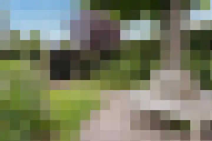 Weder 2 Midwoud thumbnail 46