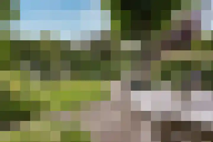 Weder 2 Midwoud thumbnail 47