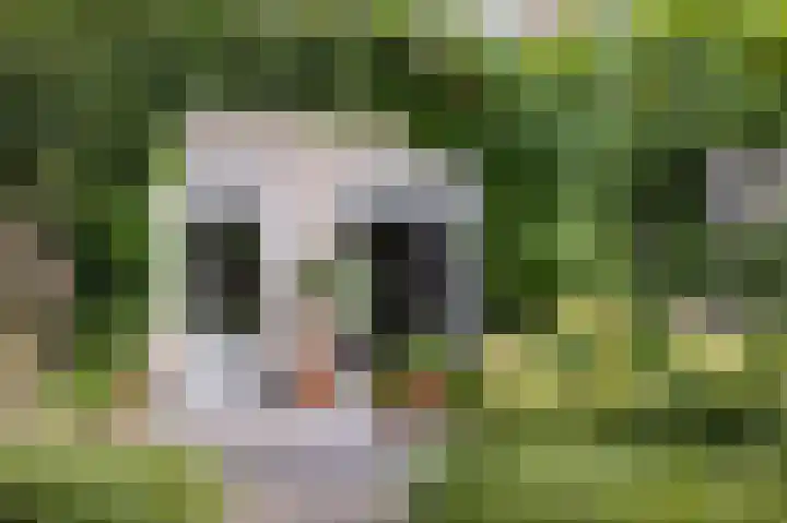 Weder 2 Midwoud thumbnail 48