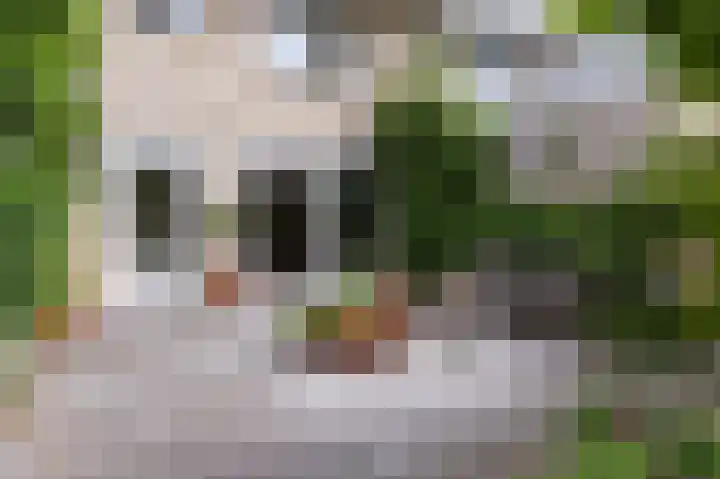 Weder 2 Midwoud thumbnail 49