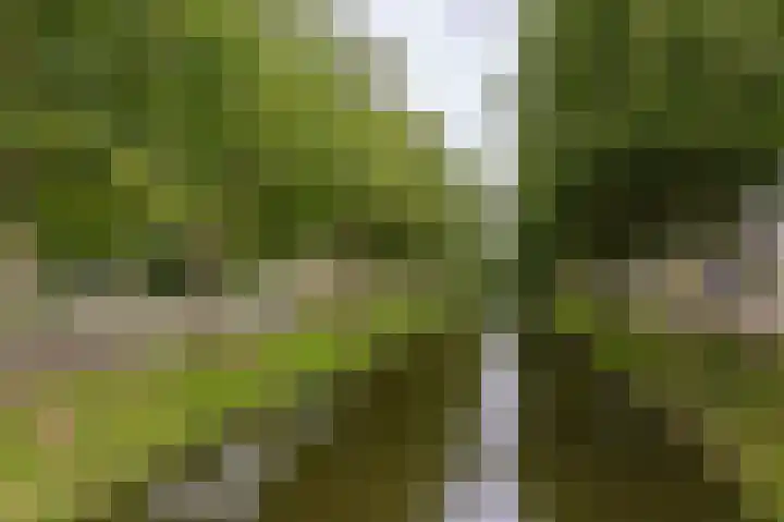 Weder 2 Midwoud thumbnail 5